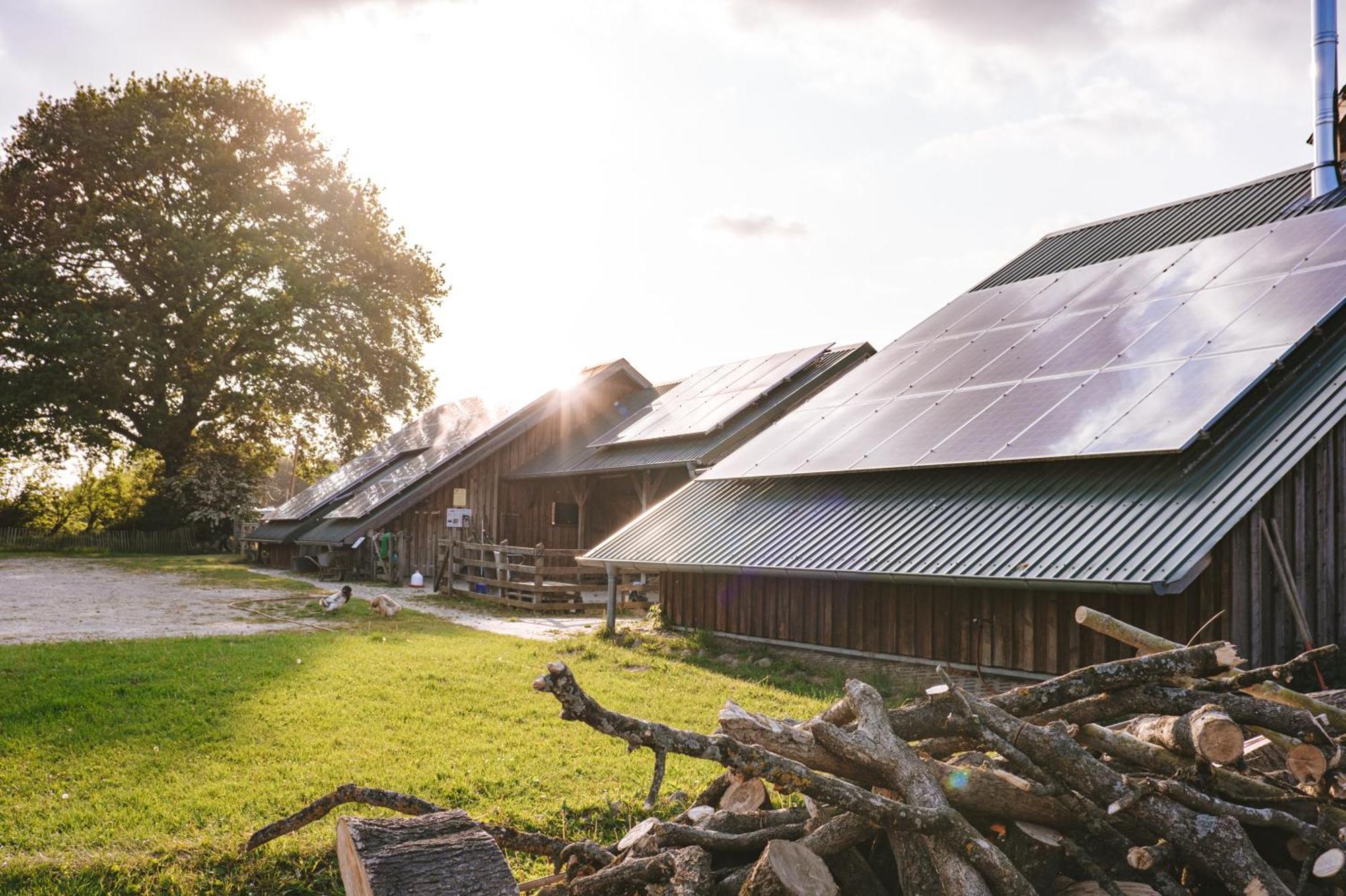 Hotel Domo Camp - Nature Glamping Hof Viehbrook à Rendswuhren Extérieur photo